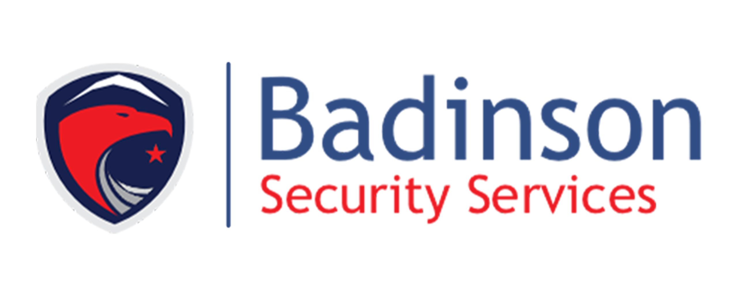 BADINSON SECURITY SERVICES LIMITED